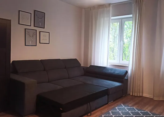 Kamienica Wygon Apartamento